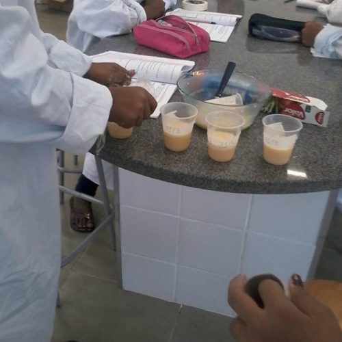 Aulas de prática de laboratório aproximam os alunos da Djalma Forjaz do saber científico
