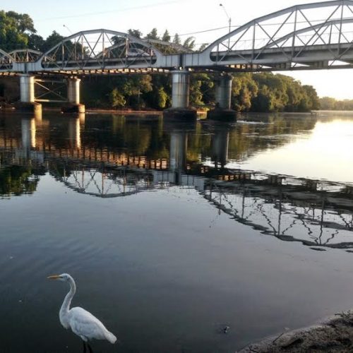MPF recomenda ações para áreas de preservação permanente ao longo do rio Moji-Guaçu