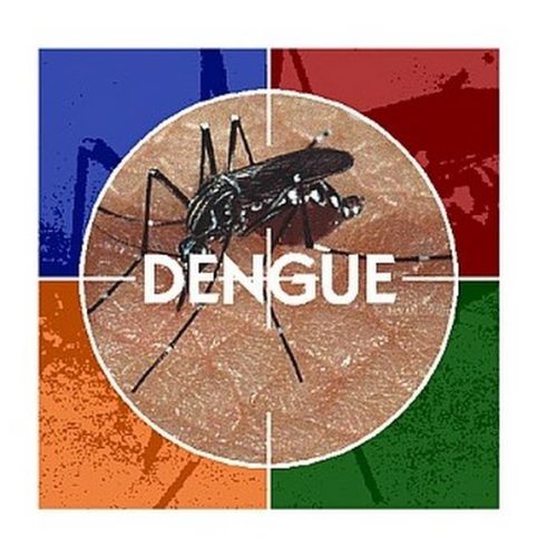 Secretaria de Estado da Saúde de SP convoca 283 cidades com alto risco de dengue