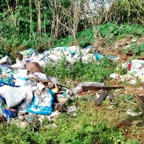 Controle de Vetores recolheu mais de 800 sacos de lixo com material descartado irregularmente