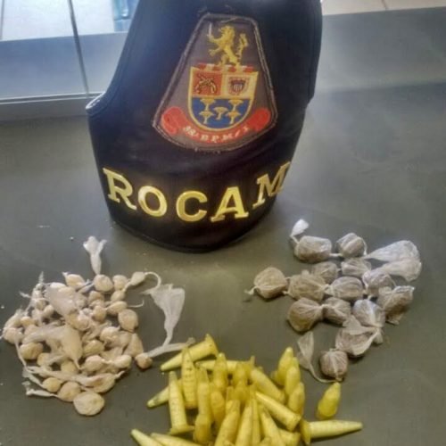 PM apreende drogas encontradas dentro estojo escolar; menor de 16 anos foi apreendido por tráfico