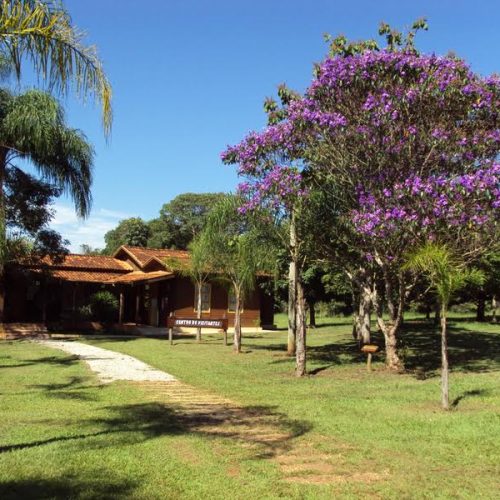 Parque Estadual de Porto Ferreira divulga datas ambientais do mês de março
