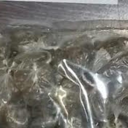 Jovem de 18 anos é preso em flagrante por tráfico de drogas em Porto Ferreira
