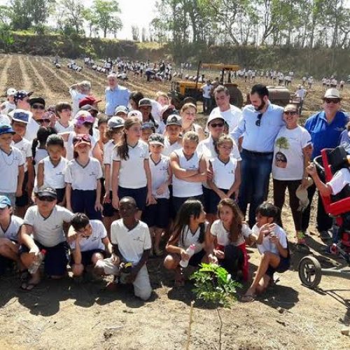 Plantio de mais de 2.000 mudas de árvores marca a comemoração do Dia da Árvore pelo Rotary Club
