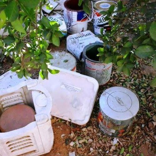 Controle de Vetores encontra criadouros em barracão; casos de dengue chegam a 166 em Porto Ferreira