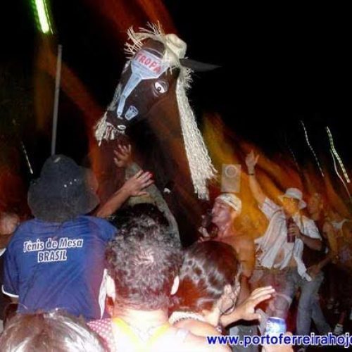 Carnaval Porto Folia 2015: Bróco do Burro abre o carnaval de rua nesta quinta-feira