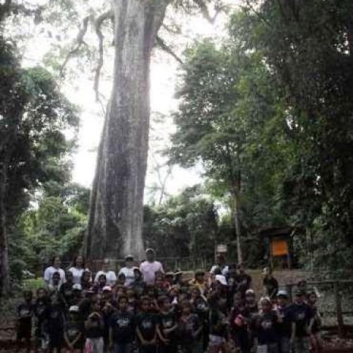 Alunos de escola do Jardim Porto Bello visitaram bosque em Ribeirão Preto e parque em Santa Rita