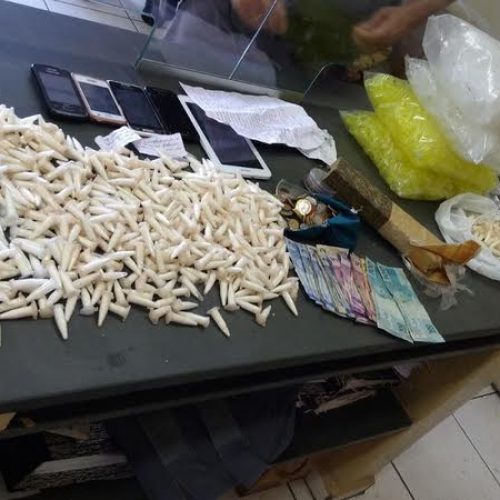 Mega Operação das Polícias Civil e Militar em Porto Ferreira resulta na prisão de nove pessoas