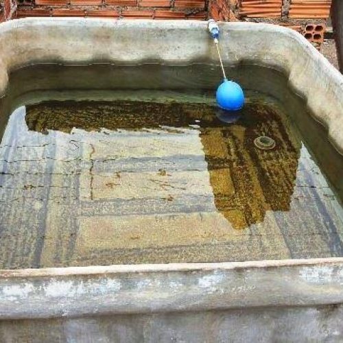 Dengue: agentes encontram mais locais com criadouros de larvas do mosquito transmissor