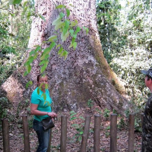 Datas ambientais do mês de outubro – 2ª parte