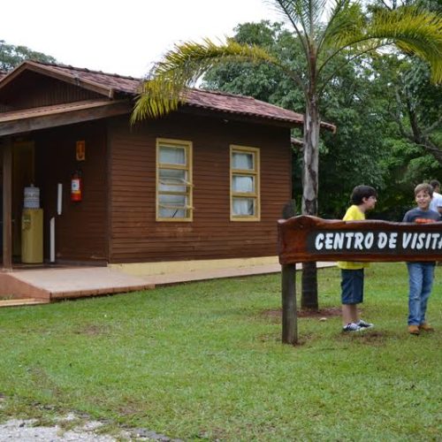 Datas ambientais da 1ª quinzena do mês de Junho – 1ª parte