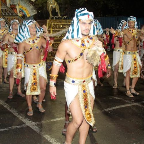 Ferreirense participa do Carnaval de São Paulo