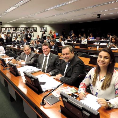 Anuário da Educação Básica é apresentado na Comissão de Educação
