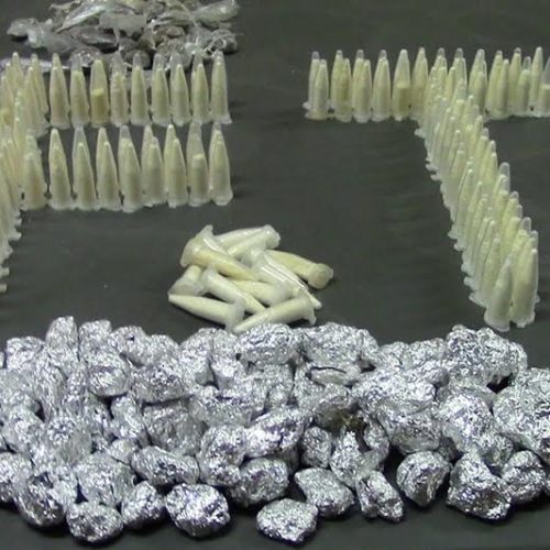 Força Tática localiza 139 pinos com cocaína e 147 porções de maconha em terreno na Vila Maria