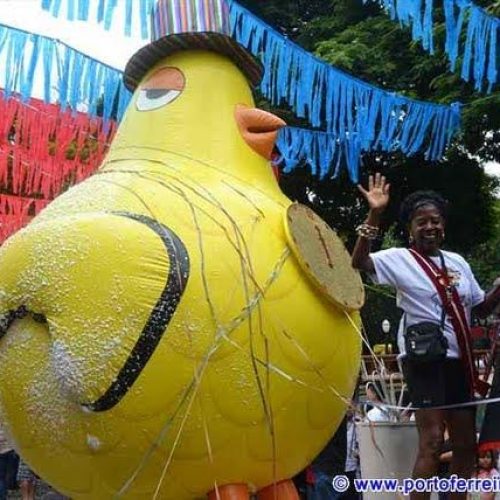 Confira a programação oficial do Carnaval 2017 em Pirassununga