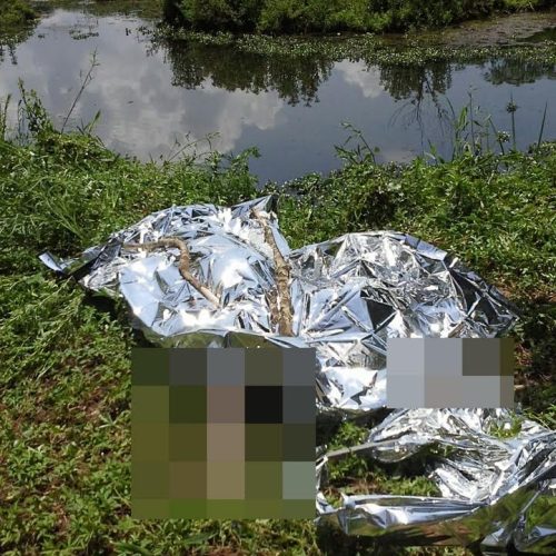 Cadáver não identificado é localizado em rio de Porto Ferreira