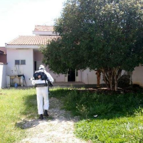 Agentes da dengue vistoriaram mais de 6,4 mil imóveis na semana passada; casos chegam a 3.382