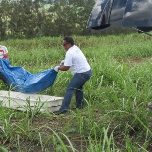 Pirassununga: corpo de homem é encontrado carbonizado na Zona Rural