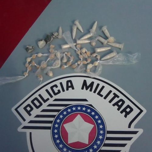 PM localiza porção de maconha com menor e 36 pedras crack e 14 pinos com cocaína em terreno