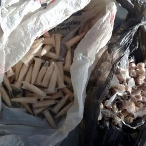 PM localiza 111 pedras de crack, 56 pinos com cocaína e 1 trouxinha de maconha na Vila Maria