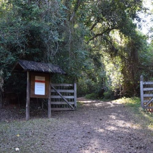 Usina que poluiu o rio Mogi Guaçu terá de apresentar projeto de recuperação ambiental