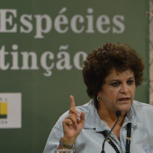 Número de animais ameaçados de extinção no Brasil aumenta 75% em 11 anos