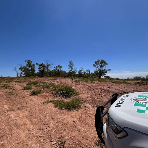 Polícia Ambiental embarga área e multa responsável por destruição de vegetação nativa