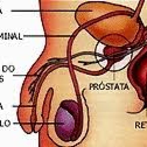 Novembro Azul: veja dicas para a saúde do homem