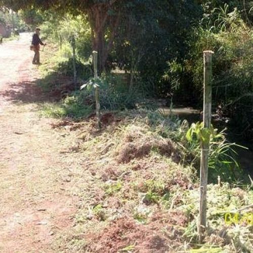 Meio Ambiente planta mudas de árvores nativas em área de preservação permanente na Vila Salgueiro