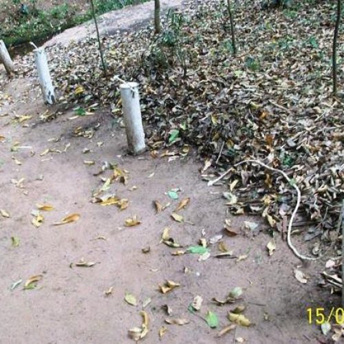 Vândalos destruíram placas e equipamentos no Parque Henriqueta no fim de semana