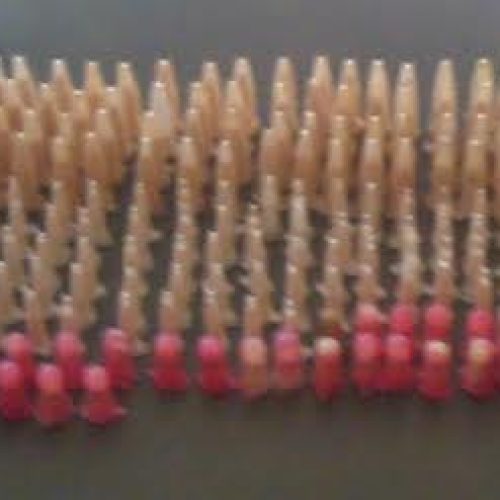 Averiguando denúncia, PM localiza 418 pinos com cocaína no bairro Santa Rosa