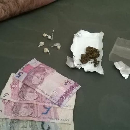 PM localiza mudas de cannabis sativa (maconha) no bairro Santa Rosa; dupla foi detida