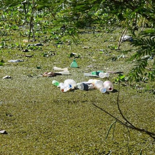 Enchente também revela que rio Mogi Guaçu necessita de cuidados
