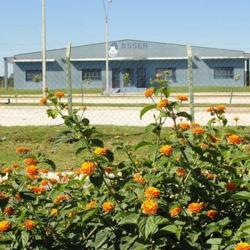 Universitário da Asser-PF é aprovado no programa Ciência Sem Fronteiras