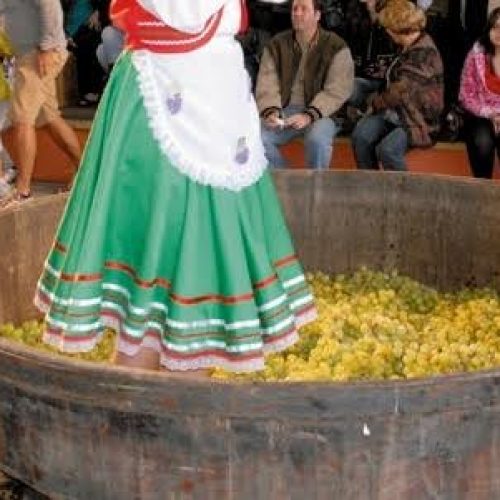 “A história do vinho” nomeia a 22 ª edição da Expo São Roque