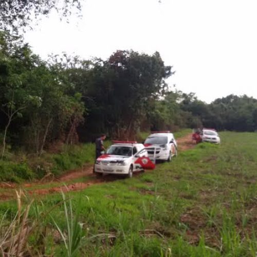 Policiais Militares de Porto Ferreira apoiaram operação em Santa Rita do Passa Quatro em área rural