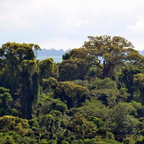 Normas para fotografia no Parque Estadual de Porto Ferreira