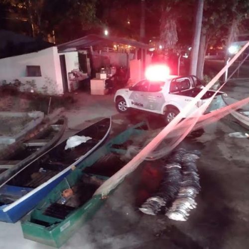 Pirassununga: Polícia Militar Ambiental apreende 250kg de pescados durante ação no rio Mogi Guaçu