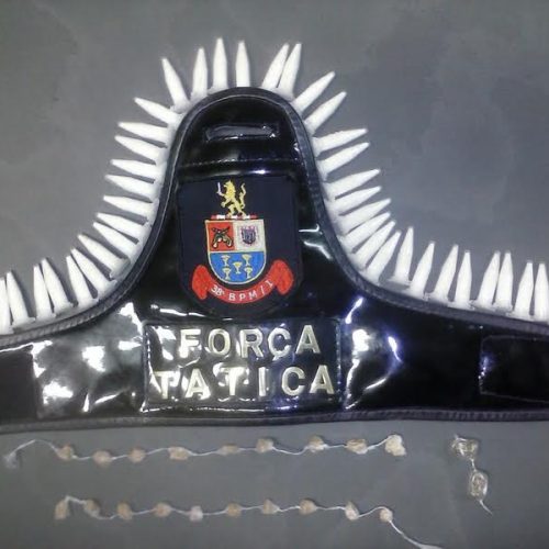 Ocorrências registradas pela PM de Porto Ferreira no final de semana
