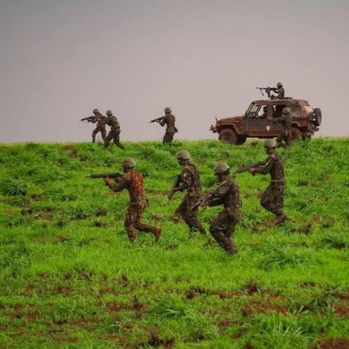 37º Batalhão de Infantaria Mecanizado participa do encerramento da Operação Agulhas Negras 2025