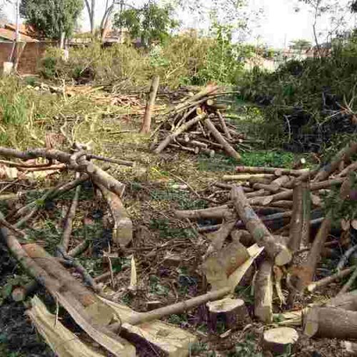 Crime ambiental na margem do córrego do Brejo Grande