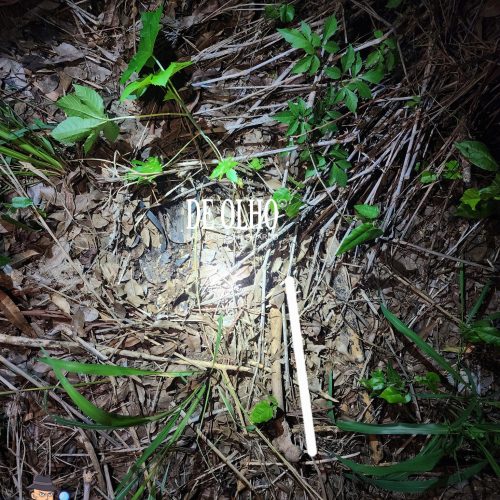 Ossada humana é encontrada em área de mata