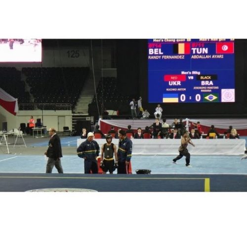 Delegação Brasileira participou do 11° World Wushu Championships em Ankara