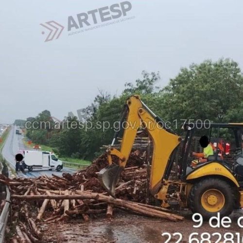 Carreta carregada com eucalipto tomba e interdita rodovia