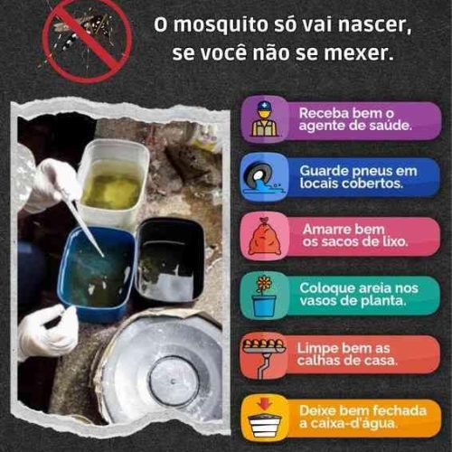 Porto Ferreira: os casos de Dengue diminuem em agosto e total até o final do mês é de 2.756
