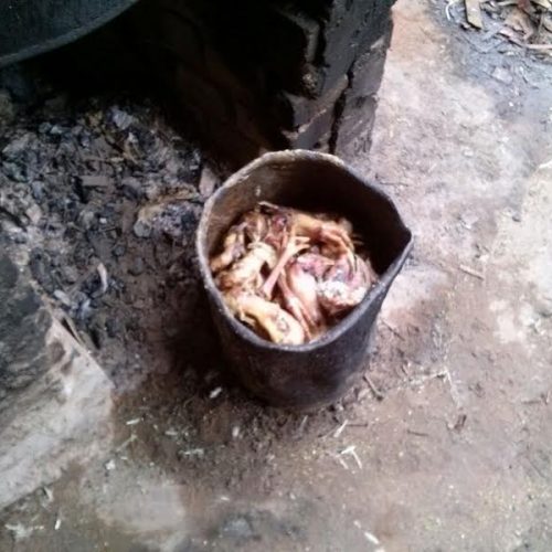 Descalvado: Polícia localiza abatedouro clandestino de aves em sítio próximo ao Butiá