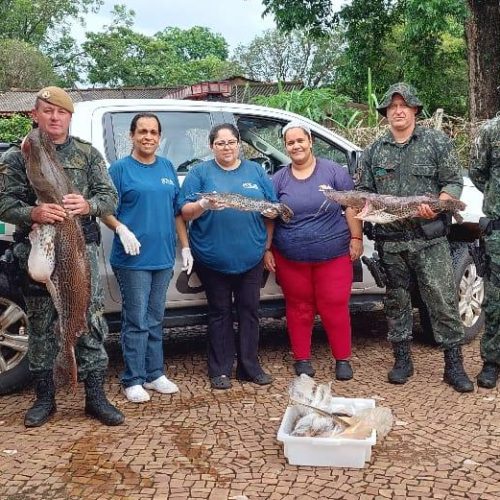 Polícia Ambiental flagra pesca ilegal durante a piracema no rio Mogi-Guaçu