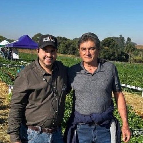 Casa Branca recebe evento que apresenta novas tecnologias para a produção de batata