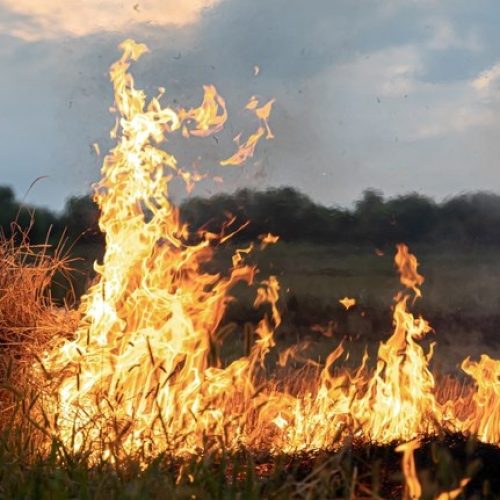 Justiça manda empresas ressarcirem o INSS por acidentes de trabalho