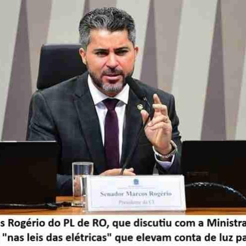 Senador do PL que discutiu com a Ministra assinou jabutis que elevam conta de luz e poluição